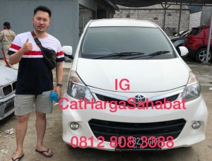 Cat Full Body Murah